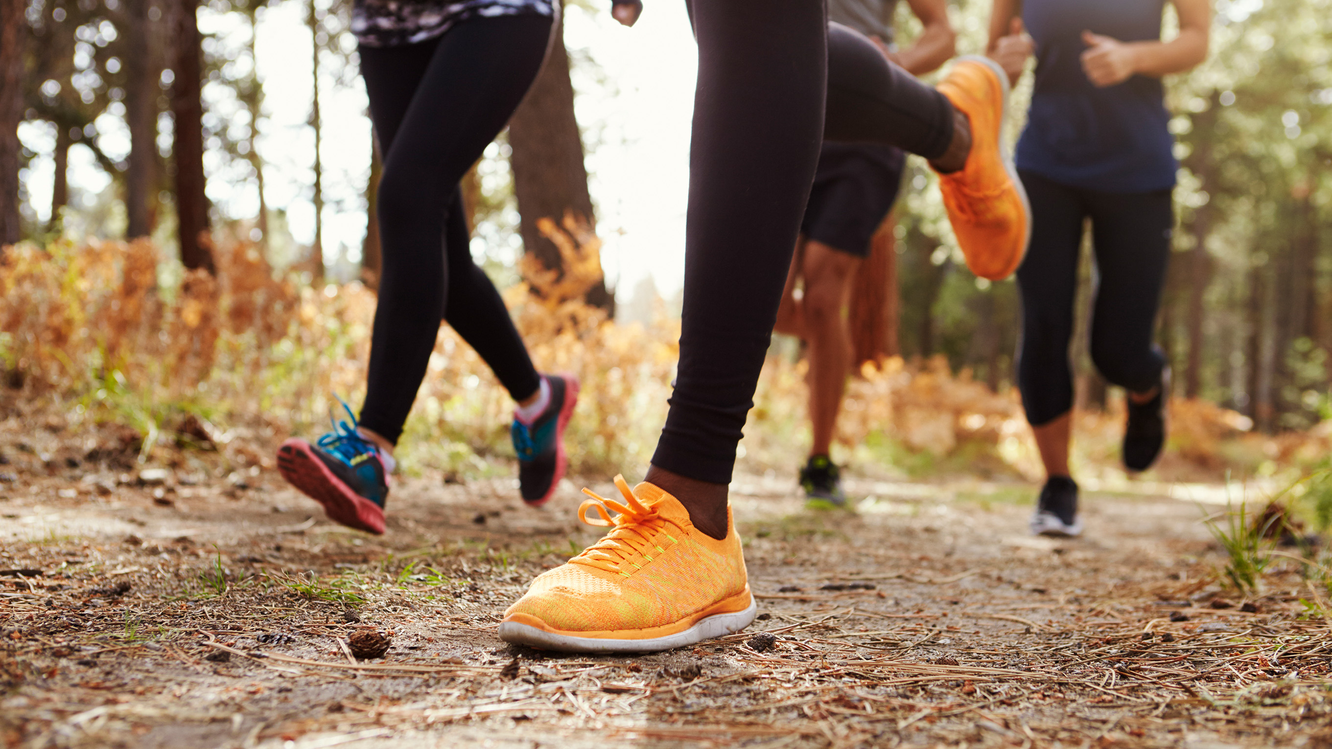 Photo of people's legs running through wooded area