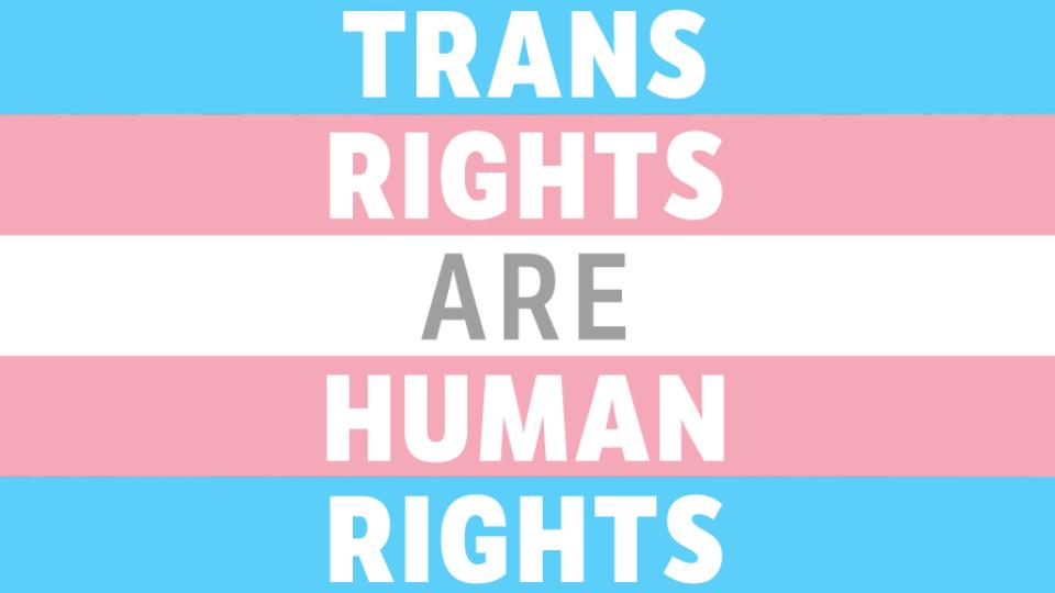 Pink and blue striped background with trans rights are human rights written on top