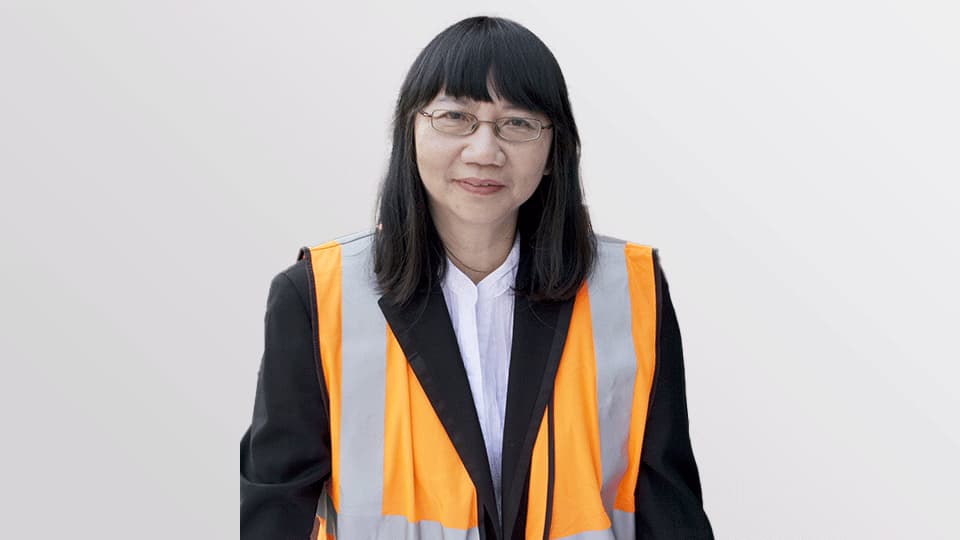 Professor Dr Phebe Mann