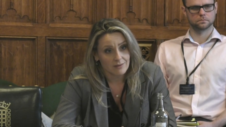 Dr Elena Georgiadou speaking at the Committee