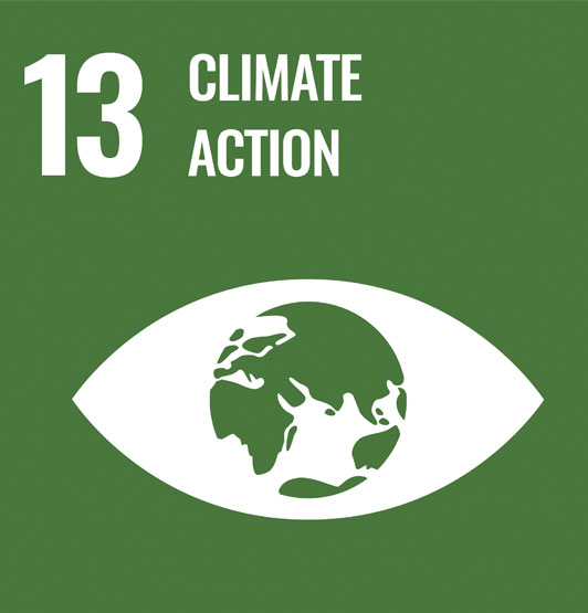 The UN SDG13 illustration - an eye with the earth as its iris and pupil beside the words: 
