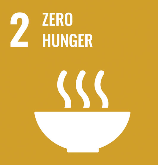 The UN SDG2 illustration - graphic of food bowl emitting steam with the words 