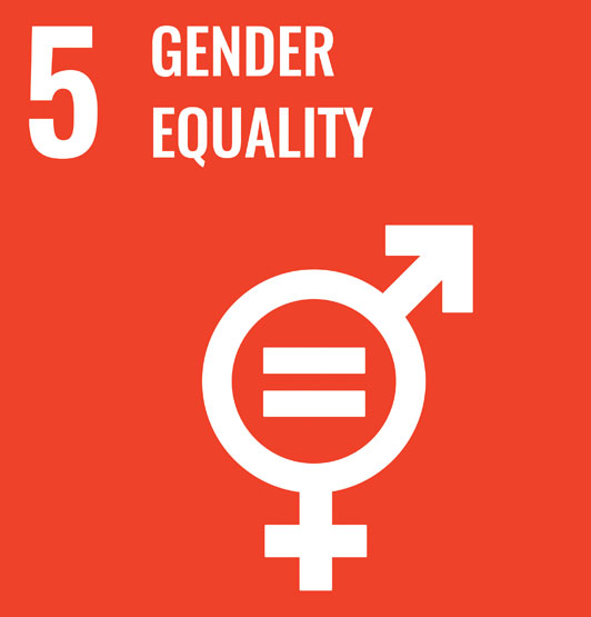 The UN SDG5 illustration - combined male and female symbols beside the words: 