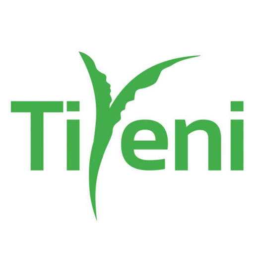 The Tiyeni logo - the organisation name in green with the letter Y shaped like a two-leaf seedling