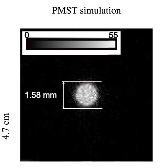 PMST simulation