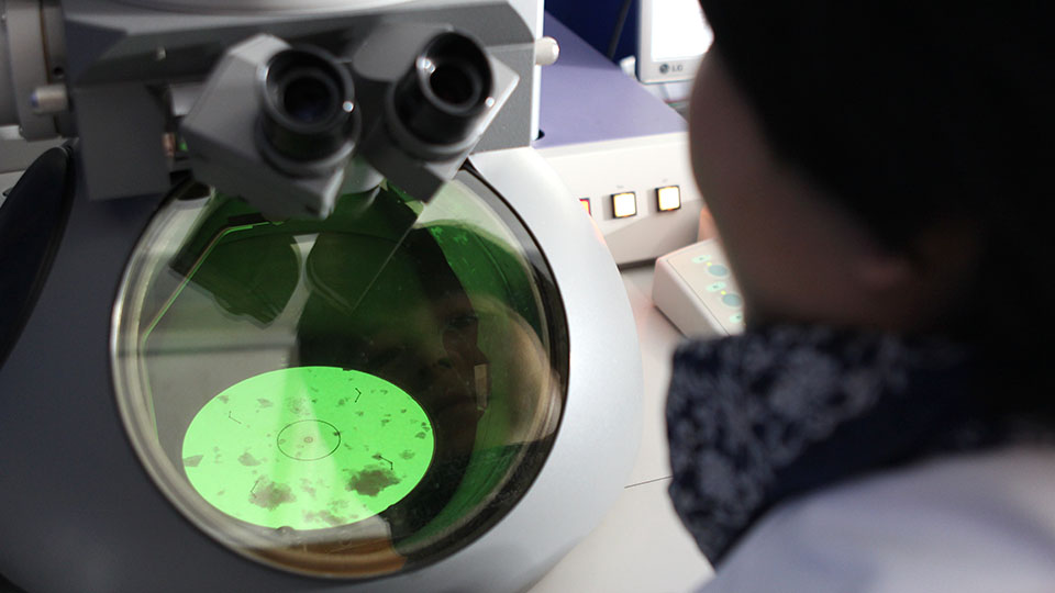 operating a transmission electron microscope