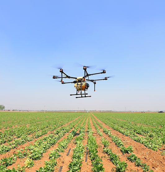 A farm drone sprays medicine on farmland, North China