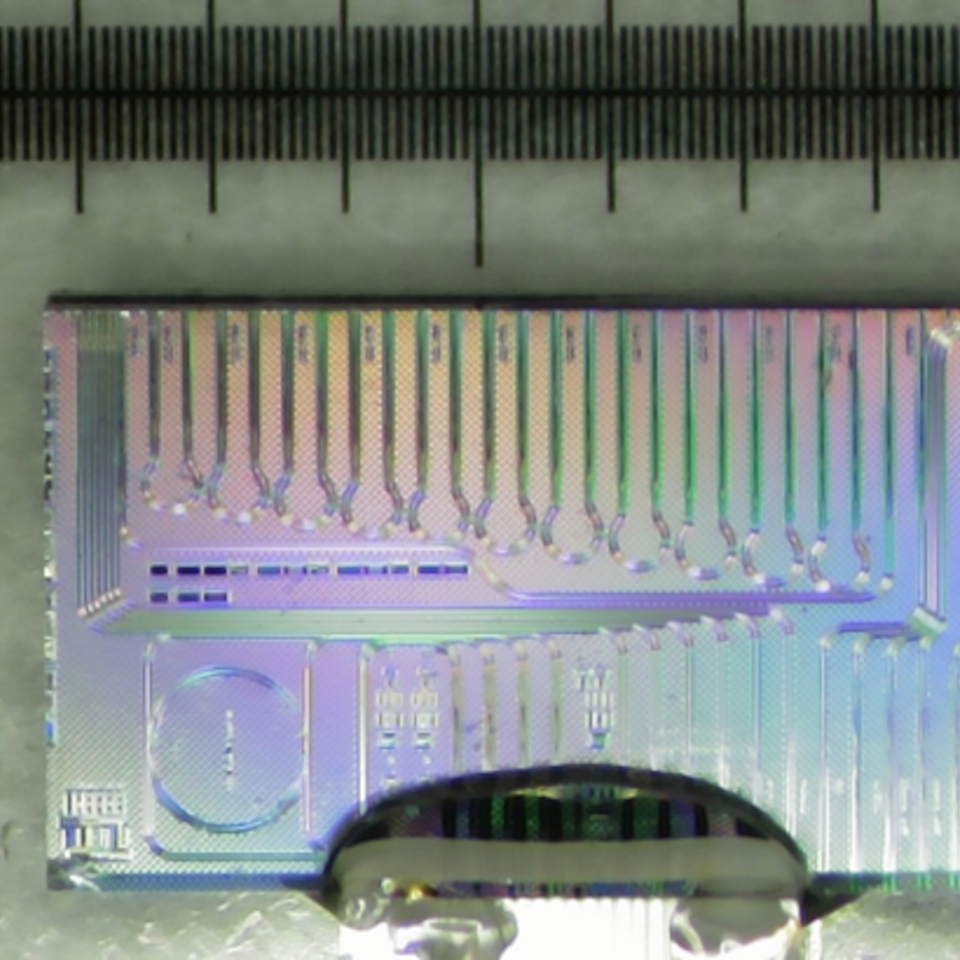 Photograph of an optical microring resonator chip