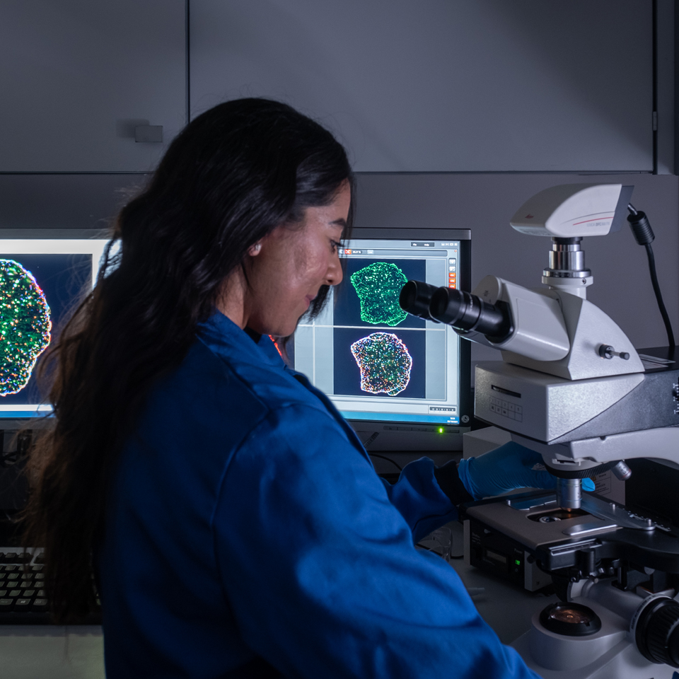 One of Owen's team working in the lab