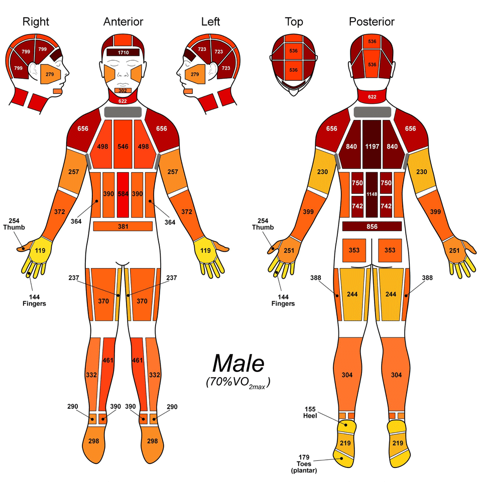 Sweatmap for male body while running