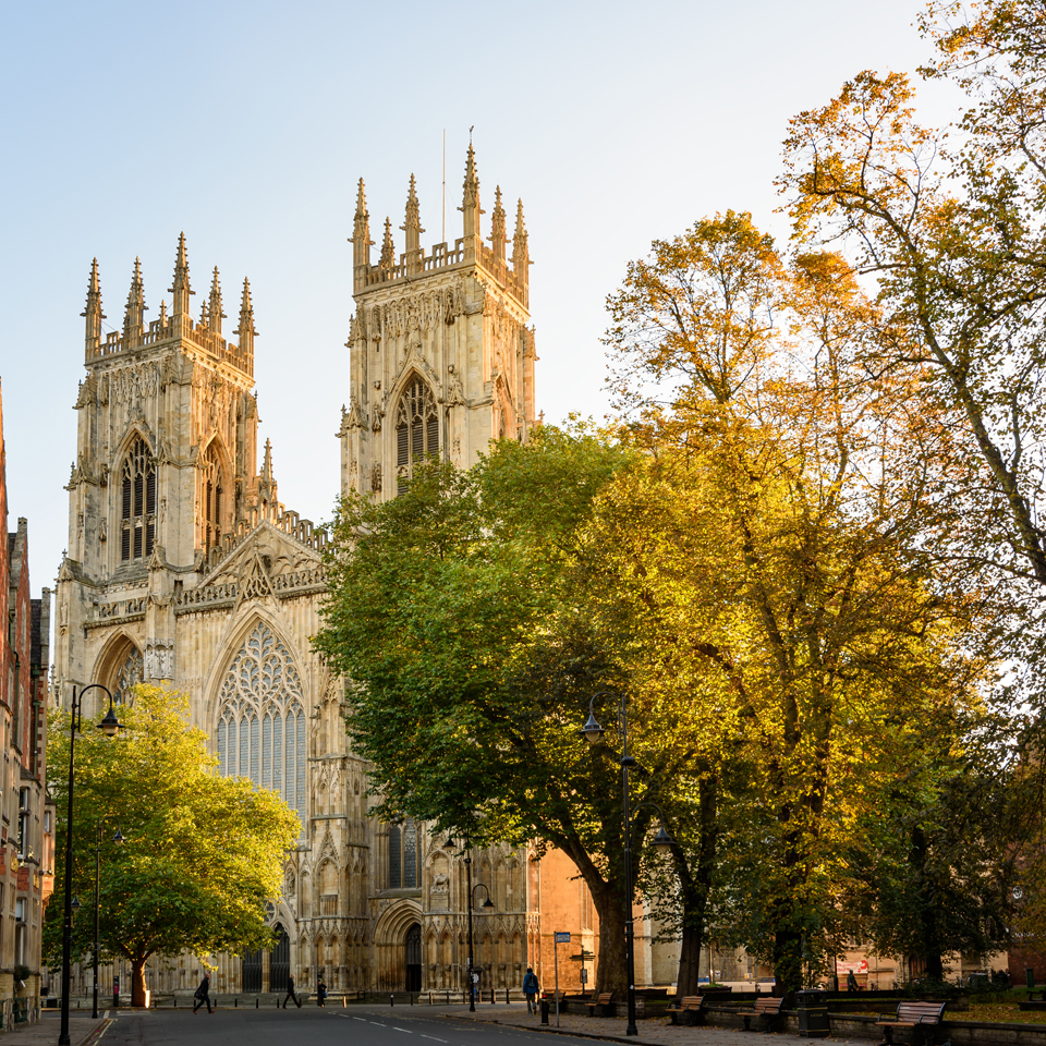 Photograph of York Minster - with several trees in the foreground