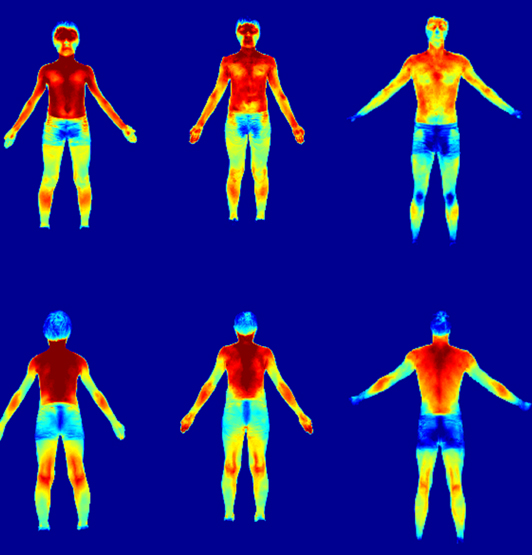 Heat maps of the human body