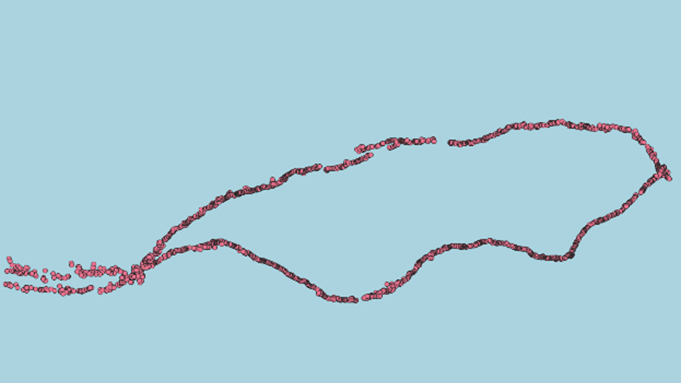 Museum visitor path of movement