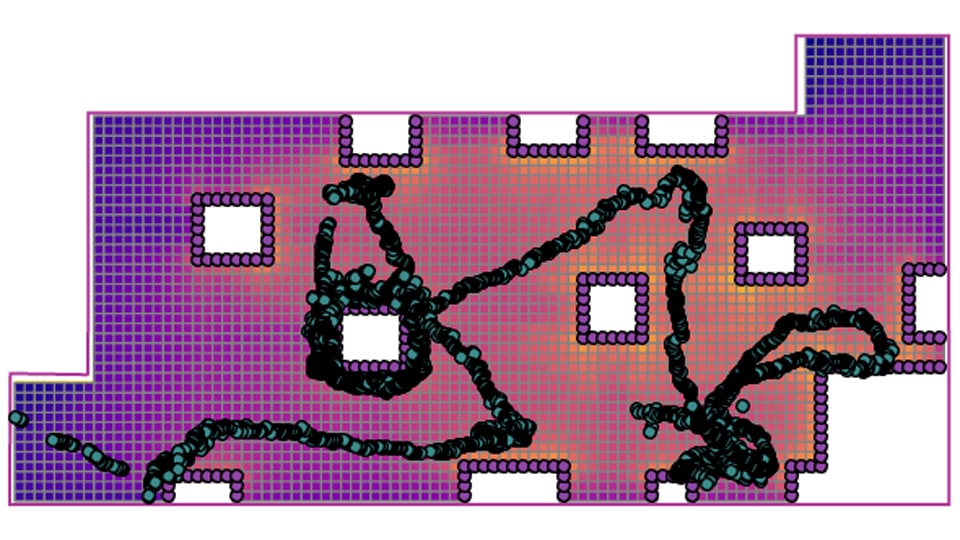 Museum visitor line of sight