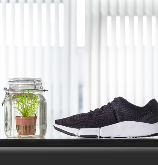 A tub of algae beside a black trainer