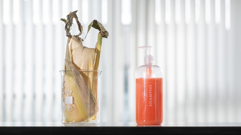 Maize husks beside a bottle of shampoo 