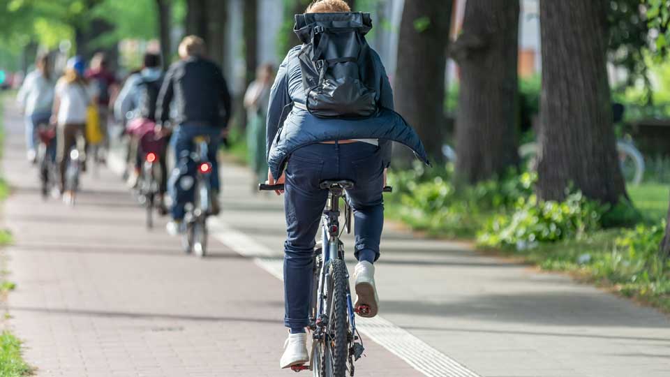 Cyclists on a cycle path, viewed from behind