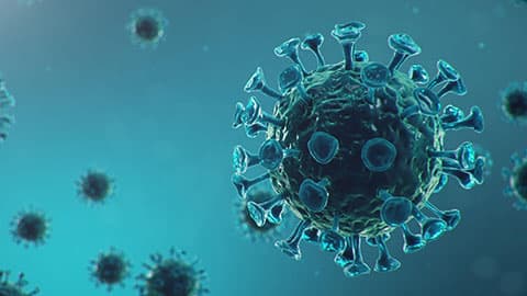 3D image of a virus.