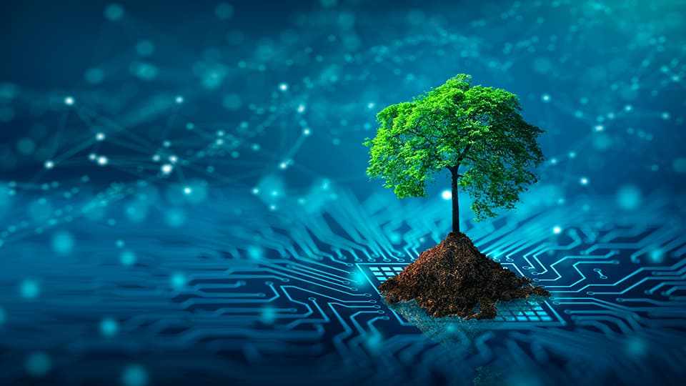 Tree with soil growing on the converging point of computer circuit board.