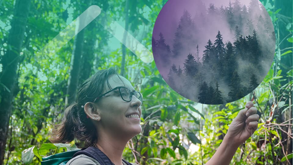 -A graphic depicting a woman in a forest examining a tree.