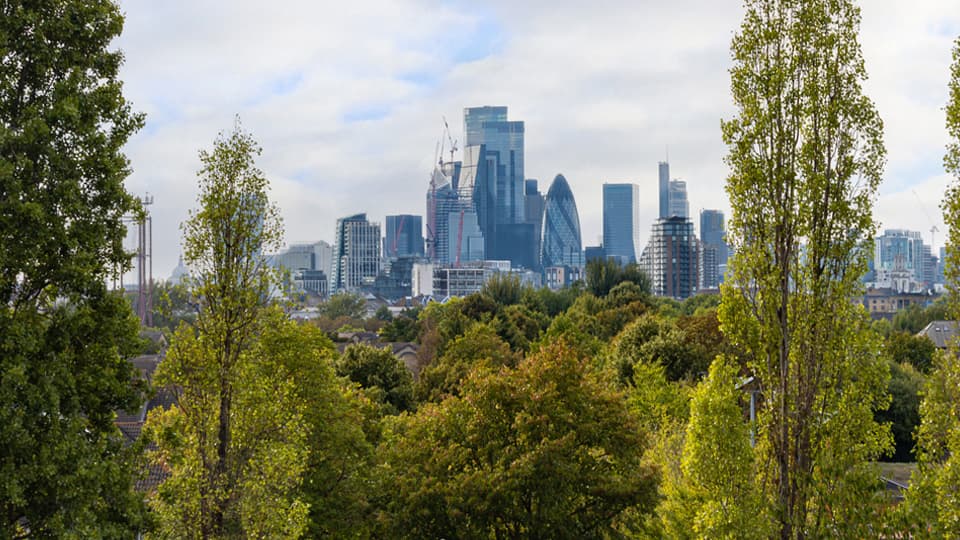 The skyline of London rising above a thick canopy of trees.
