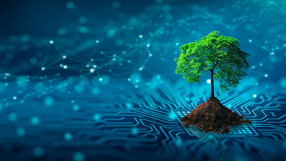 A computer generated image of circuit board with a tree in soil with green leaves placed on it