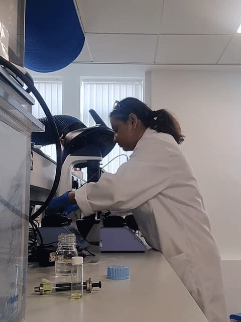 female researcher at work in lab