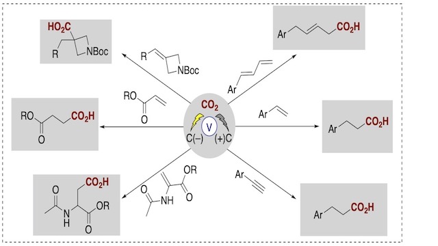 Diagram - electrosynthetic carboxylation of various olefins