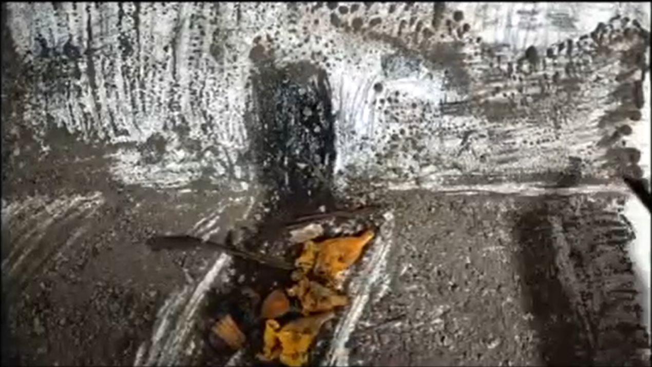 Junuka Deshpande, screen shot from untitled video