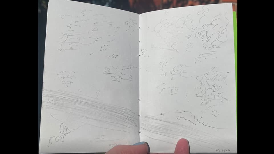 Danica Maier, screen shot from ‘Birdsong Transpositions’  video