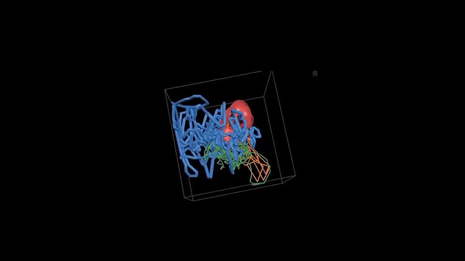 screenshot taken from Doctor Helen Farrell's video