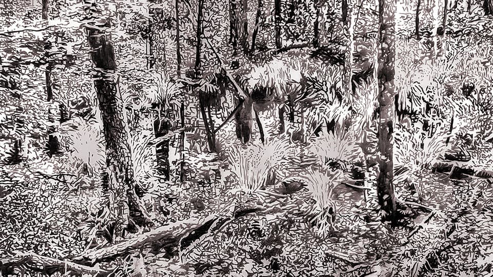 Andrea Kantrowitz, 'Marsh'