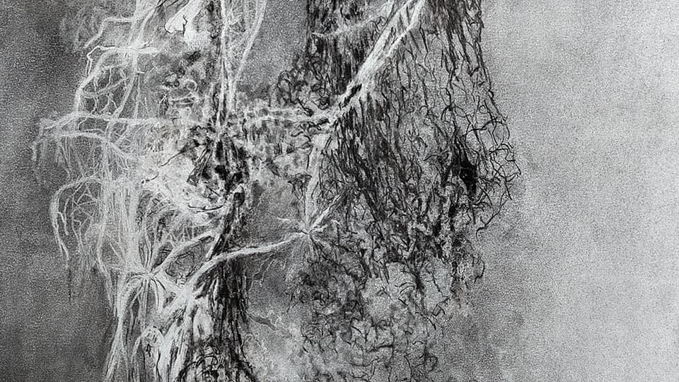 Lisanne Sloots, 'because of clean air', inside-outside’