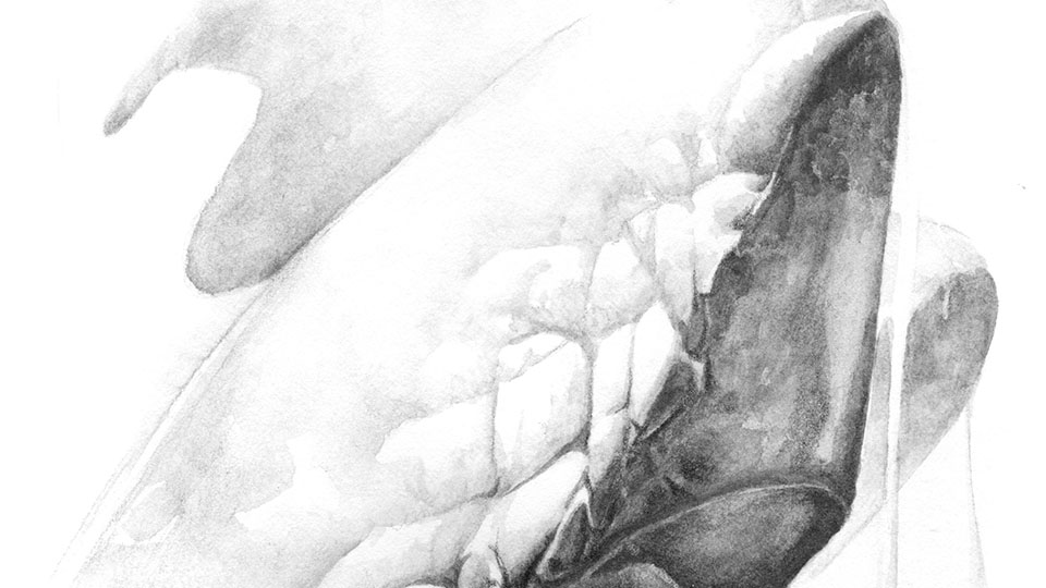 Eugene Randolph Young, ‘Corpus 13’