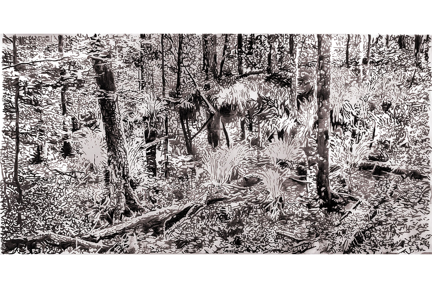 Andrea Kantrowitz, 'Marsh'