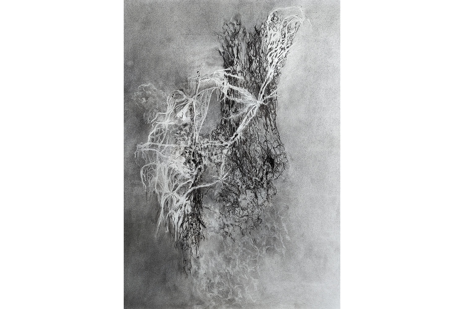 Lisanne Sloots, 'because of clean air', inside-outside’