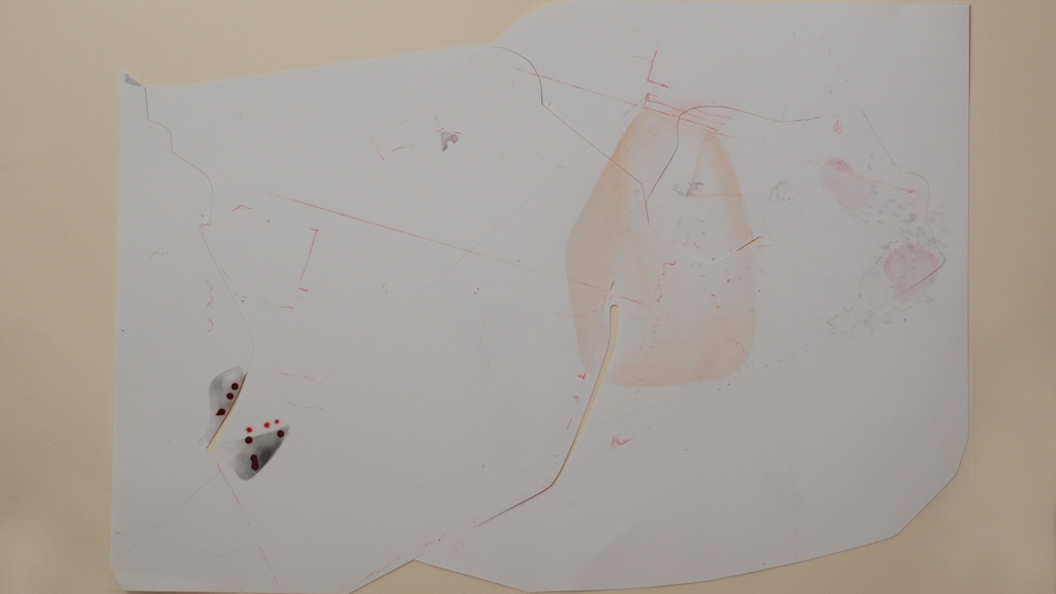 Samantha Lynch: Shadows and grafts side, graphite, pencil crayon, ink, chalk, 2021