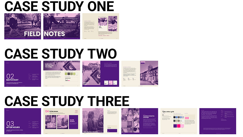 Example portfolio structure showing three detailed case studies from a graphic design project.