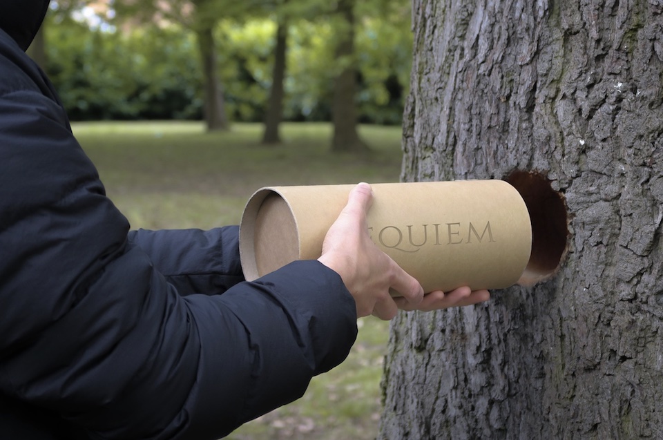 A person holding a Requiem urn, about to place it inside a hole made in a tree trunk