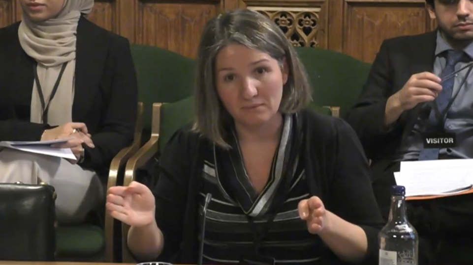 Emilene Zitkus giving evidence