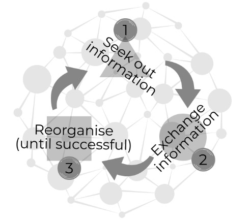 three step diagram: 1. Seek out information, 2. Exchange information, 3. Reorganise (until successful)