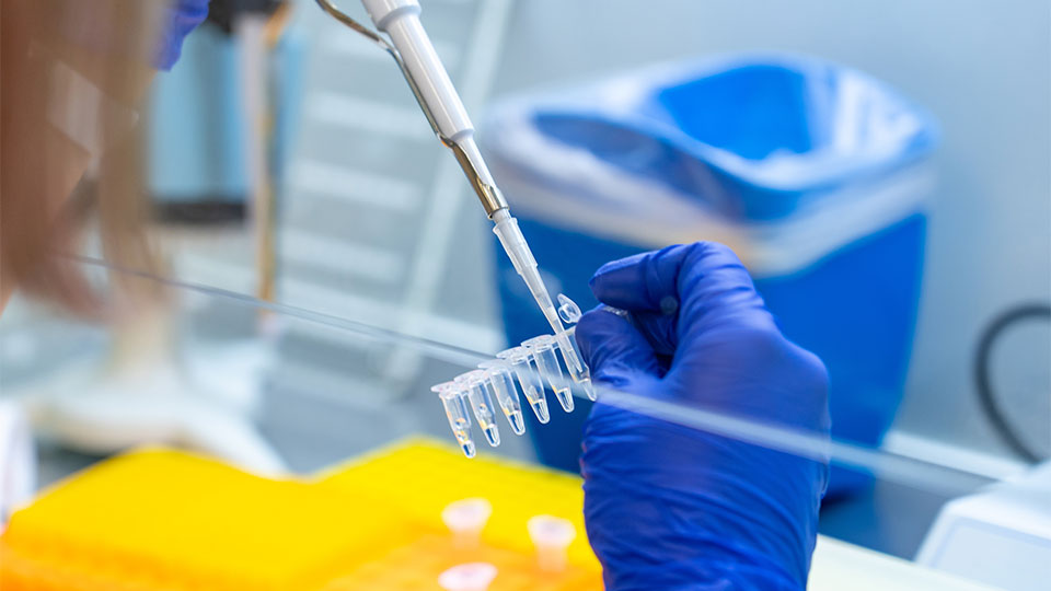 Close-up of a scientist holding a pipette and testing tubes.