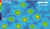 Array of light-emitting diodes