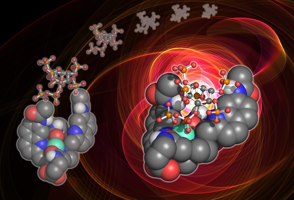 An image of the researchers’ small molecule probe binding to 5-PP-InsP5 and emitting bright red light. Image generated by Dr Felix Plasser, Loughborough University.
