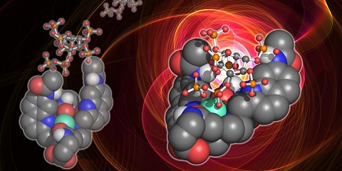 Image of the researchers’ small molecule probe binding to 5-PP-InsP5 and emitting bright red light. This image was generated by Dr Felix Plasser, Loughborough University.