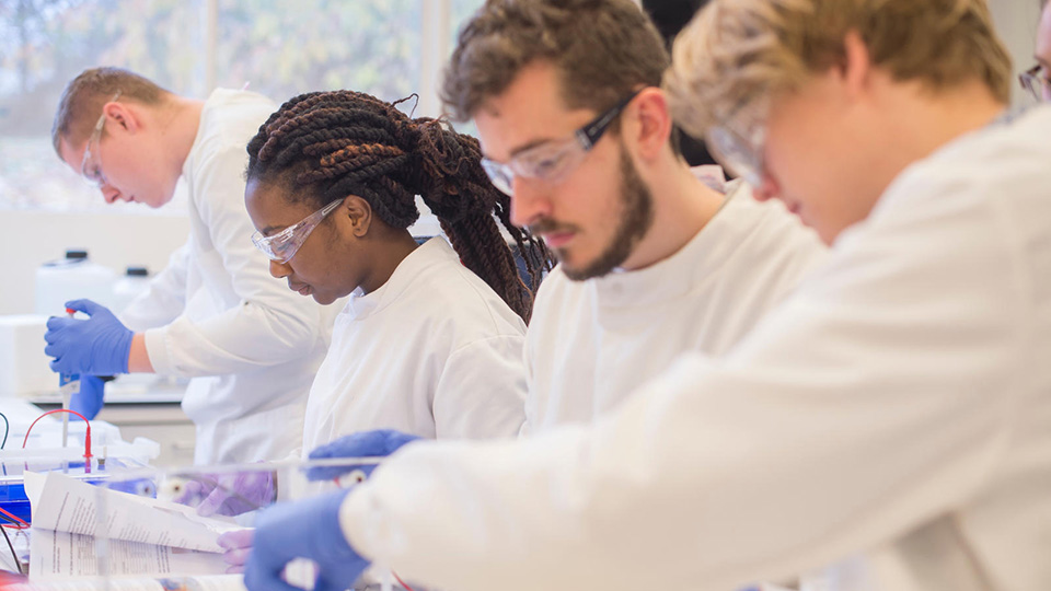 Biological Sciences students in a lab session