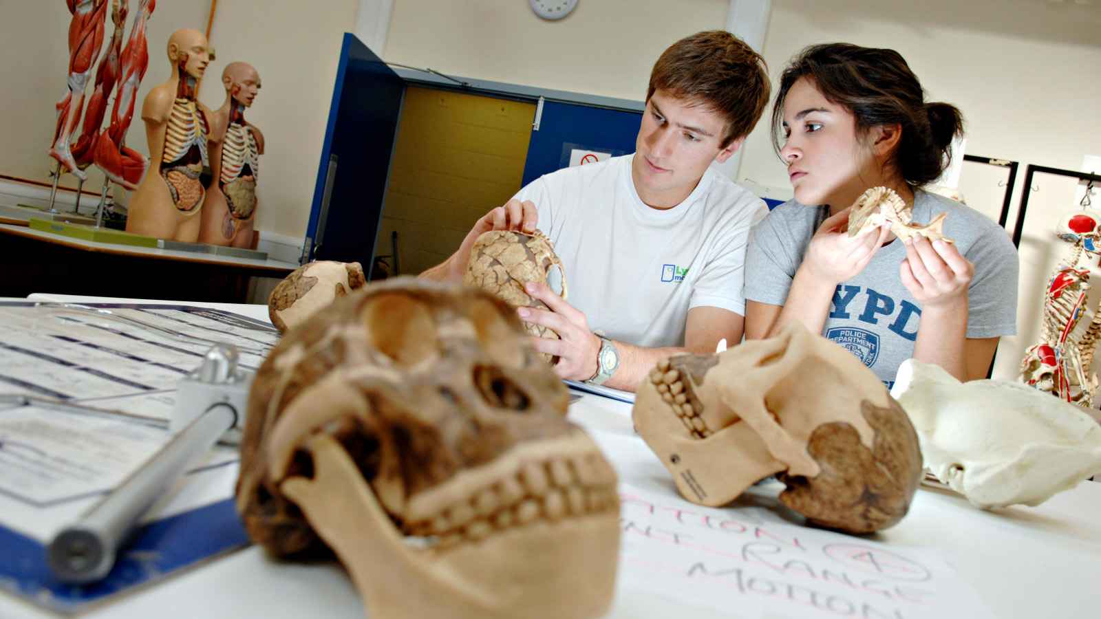 Human Biology students working in the anatomy lab