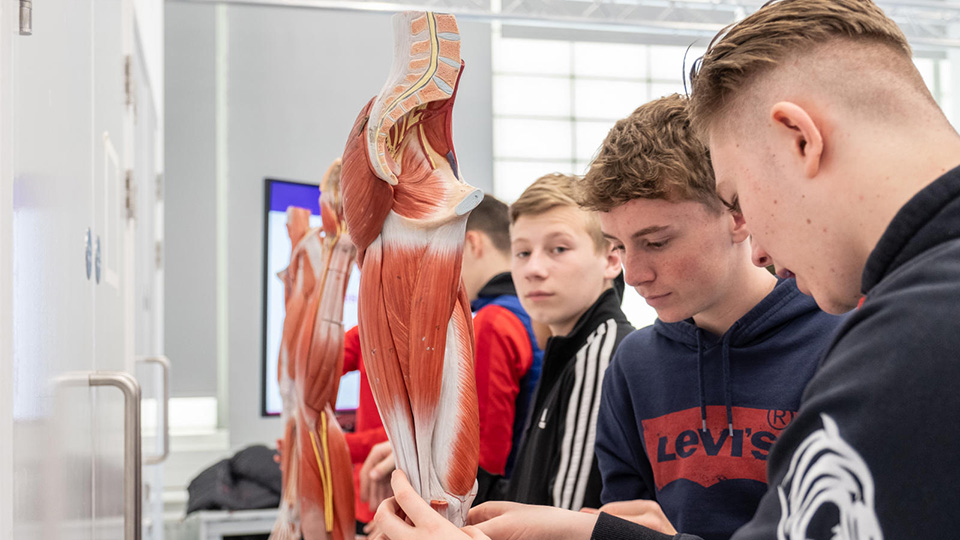 Children looking at anatomy models