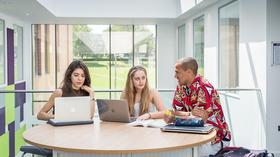 Psychology students discussing an assignment