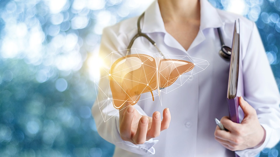an illustration of a doctor holding a model of a liver